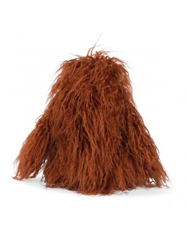 Petit orang-outan Tout autour du... Petit orang-outan Tout autour du...