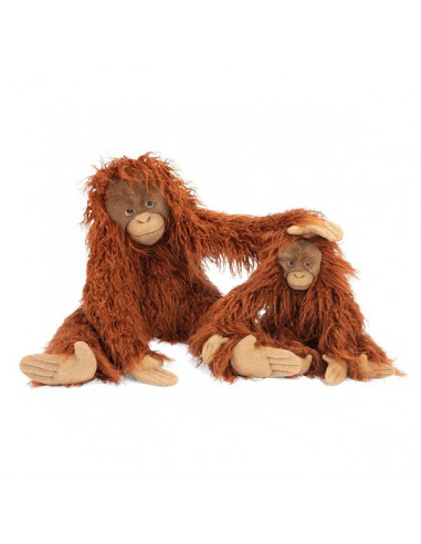 Petit orang-outan Tout autour du... Petit orang-outan Tout autour du...