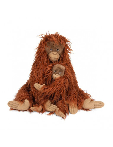 Petit orang-outan Tout autour du... Petit orang-outan Tout autour du...