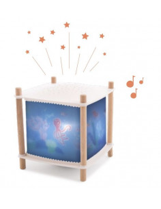 Lanterne magique connectée...