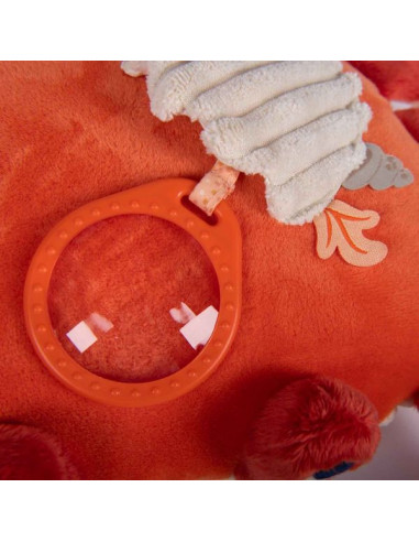 Grand crabe d'activités Les aventures... Grand crabe d'activités Les aventures...