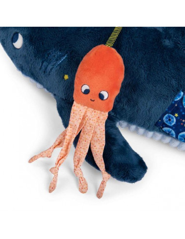 Grand requin d'activités Les... Grand requin d'activités Les...