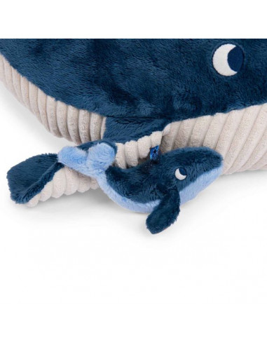 Grande baleine d'activités Les... Grande baleine d'activités Les...