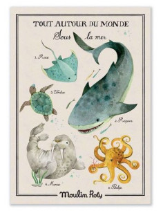 Affiche Sous la mer Tout...
