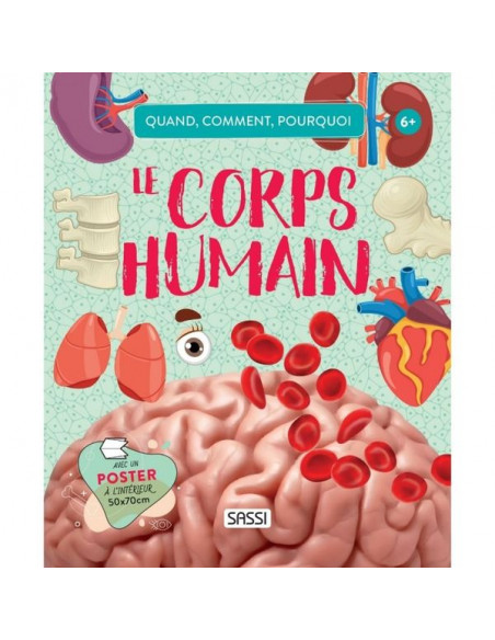 anatomie le corps humain geant 54 pces