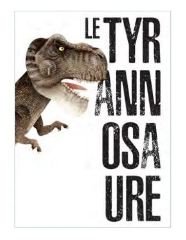 Livre et maquette 3D tyrannosaure -... Livre et maquette 3D tyrannosaure -...