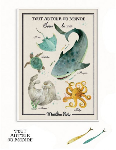 Affiche Sous la mer Tout autour du... Affiche Sous la mer Tout autour du...