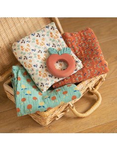 Anneau de dentition... 2