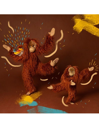 Grand orang-outan Tout autour du... Grand orang-outan Tout autour du...