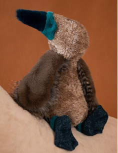 Oiseau fou à pieds bleus... 2