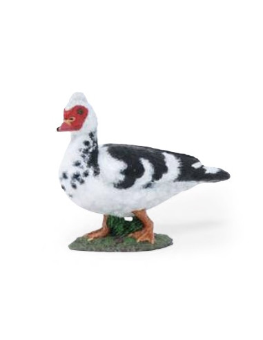 Figurine canard de Barbarie - Papo