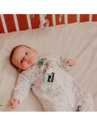 Accroche tétine Chillos le paresseux... Accroche tétine Chillos le paresseux...