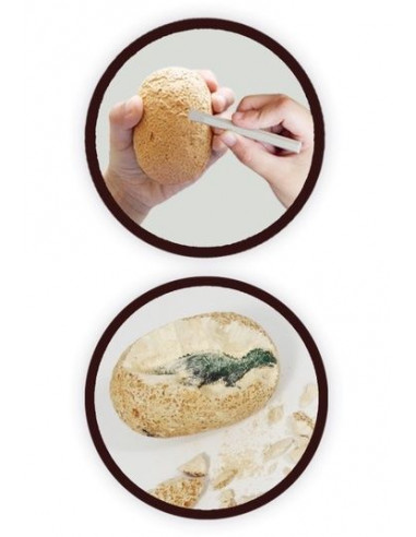 Maxi pack Dino à deterrer - Buki Maxi pack Dino à deterrer - Buki