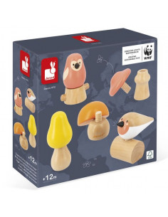 Oiseaux et champignons à...