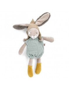 Petit lapin sauge Trois...