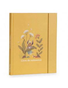 Livre de naissance Trois...