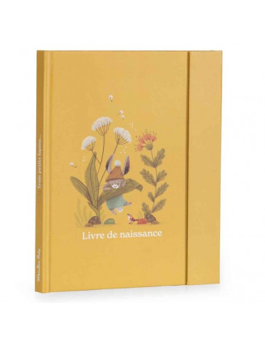 Livre de naissance personnalisable