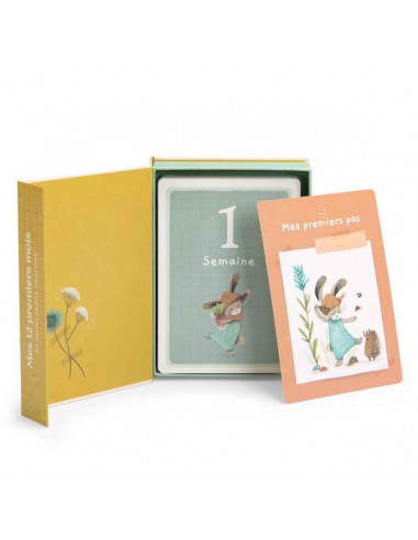 Cartes Mes 12 premiers mois Trois... Cartes Mes 12 premiers mois Trois...