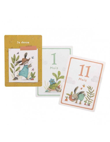 Cartes Mes 12 premiers mois Trois... Cartes Mes 12 premiers mois Trois...