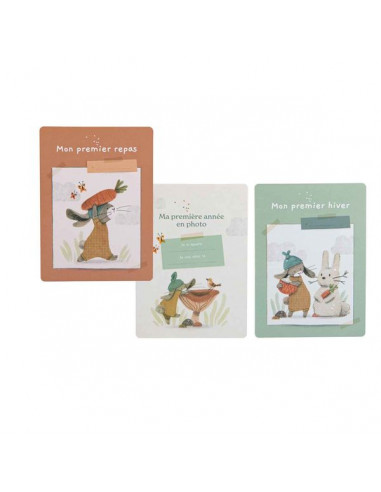 Cartes Mes 12 premiers mois Trois... Cartes Mes 12 premiers mois Trois...