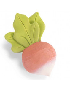 Anneau de dentition...