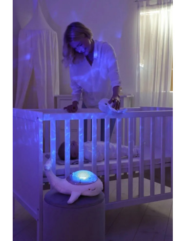 Tranquil whale white family Peluche... Tranquil whale white family Peluche...