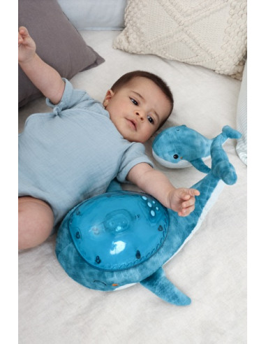 Tranquil whale blue family Peluche... Tranquil whale blue family Peluche...