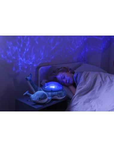 Tranquil whale blue family Peluche... Tranquil whale blue family Peluche...
