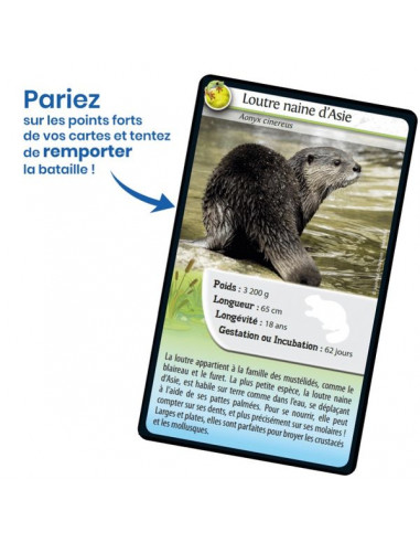 Défis nature Animaux d'eau douce -... Défis nature Animaux d'eau douce -...