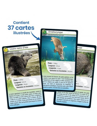 Défis nature Animaux d'eau douce -... Défis nature Animaux d'eau douce -...