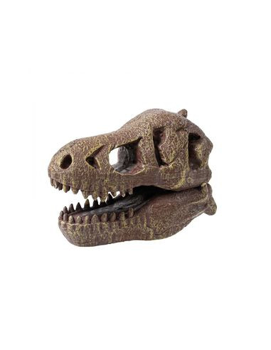 Kit de fouille T-Rex Museum Skull - Buki Kit de fouille T-Rex Museum Skull - Buki