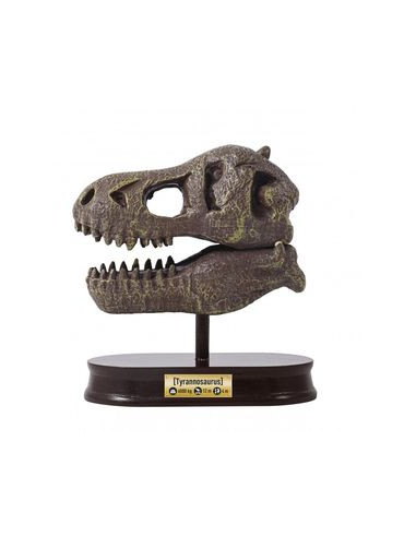 Kit de fouille T-Rex Museum Skull - Buki Kit de fouille T-Rex Museum Skull - Buki