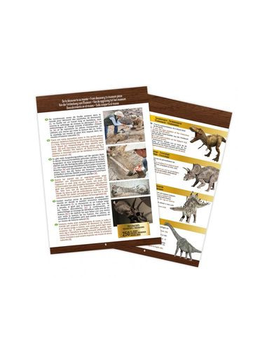 Kit de fouille T-Rex Museum Skull - Buki Kit de fouille T-Rex Museum Skull - Buki