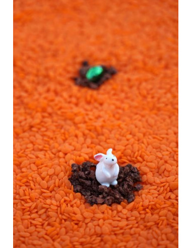 Bouteille sensorielle Lapin - Petit Boum Bouteille sensorielle Lapin - Petit Boum