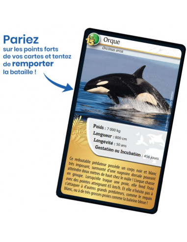 Défis nature 15e Anniversaire - Bioviva Défis nature 15e Anniversaire - Bioviva