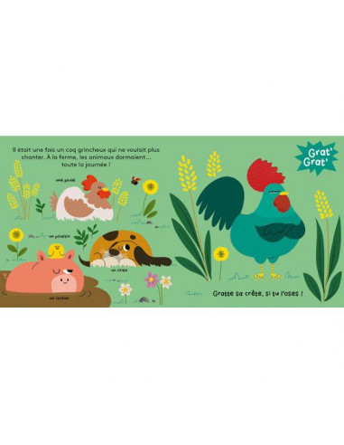 Livre à toucher La fête à la ferme -... Livre à toucher La fête à la ferme -...