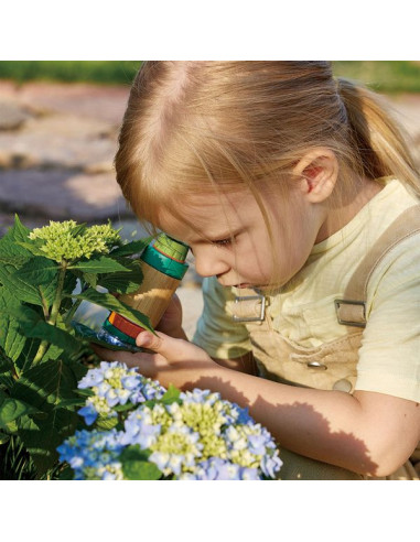 Microscope en bambou - Hape Microscope en bambou - Hape