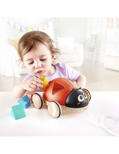 Coccinelle à tirer trieuse de formes... Coccinelle à tirer trieuse de formes...