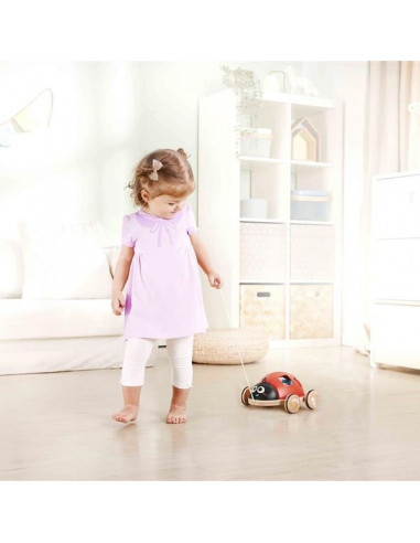 Coccinelle à tirer trieuse de formes... Coccinelle à tirer trieuse de formes...