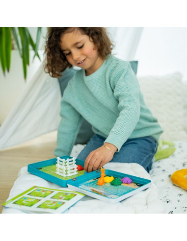 Jeu Le lièvre et les tortues -... Jeu Le lièvre et les tortues -...