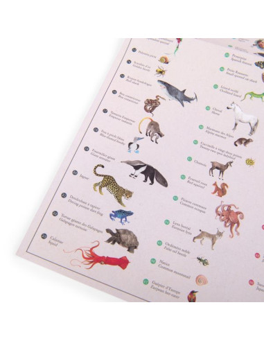 Mappemonde avec décalcomanies Tout... Mappemonde avec décalcomanies Tout...