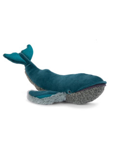 Petite baleine à bosse Tout...