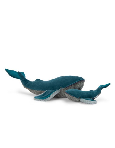 Petite baleine à bosse Tout autour du... Petite baleine à bosse Tout autour du...