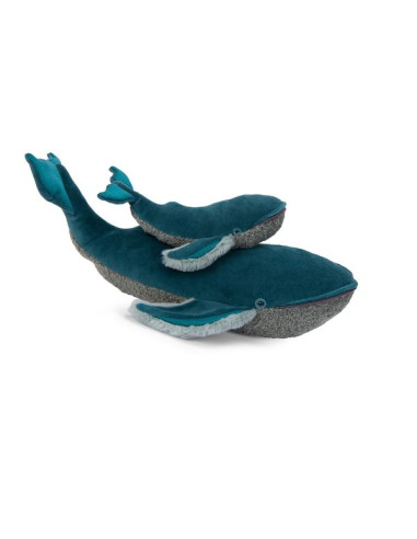 Petite baleine à bosse Tout autour du... Petite baleine à bosse Tout autour du...