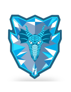 Bouclier de glace en mousse...