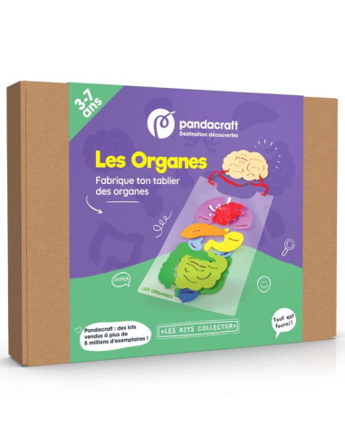 Kit collector les organes 3-7 ans -...