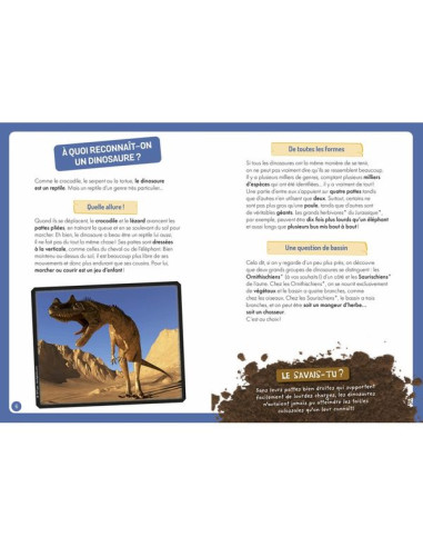 À la découverte des dinosaures - Auzou À la découverte des dinosaures - Auzou