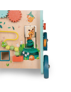 Chariot de marche... 2