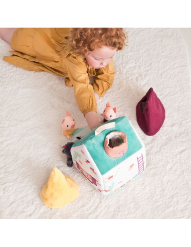 Les maisons du loup et des 3 petits... Les maisons du loup et des 3 petits...