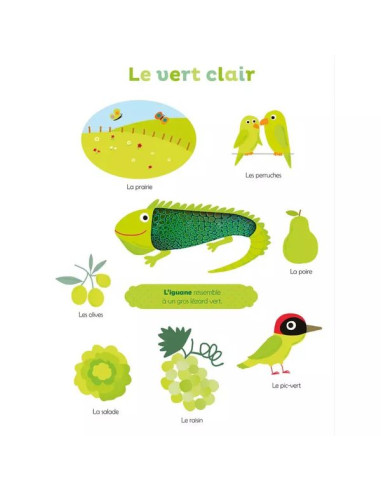 Livre Mes premières couleurs à... Livre Mes premières couleurs à...